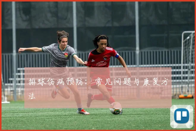 排球伤病预防:常见问题与康复方法