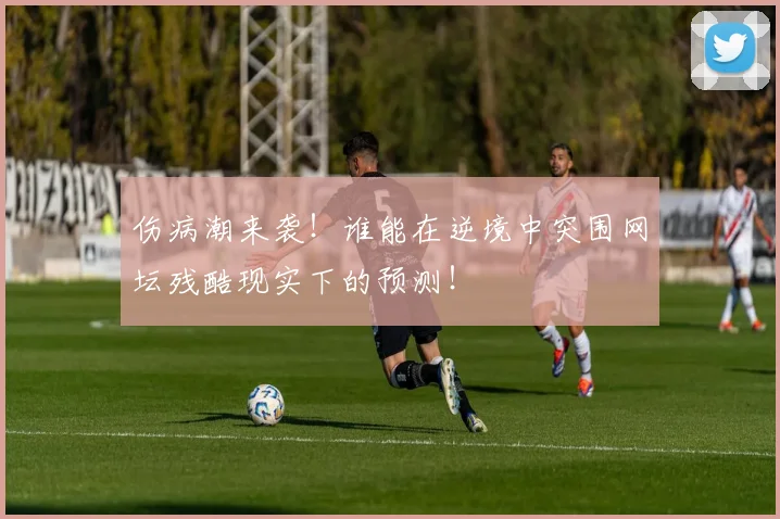 伤病潮来袭!谁能在逆境中突围网坛残酷现实下的预测!