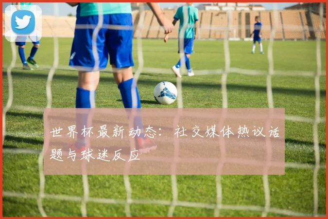 世界杯最新动态:社交媒体热议话题与球迷反应